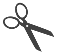 SS